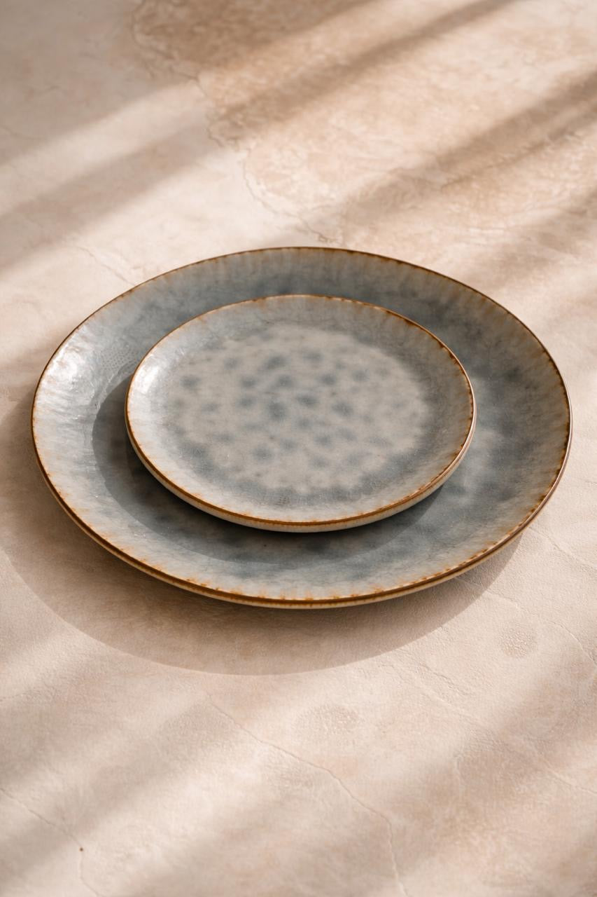 4 Grandes assiettes ASTRA